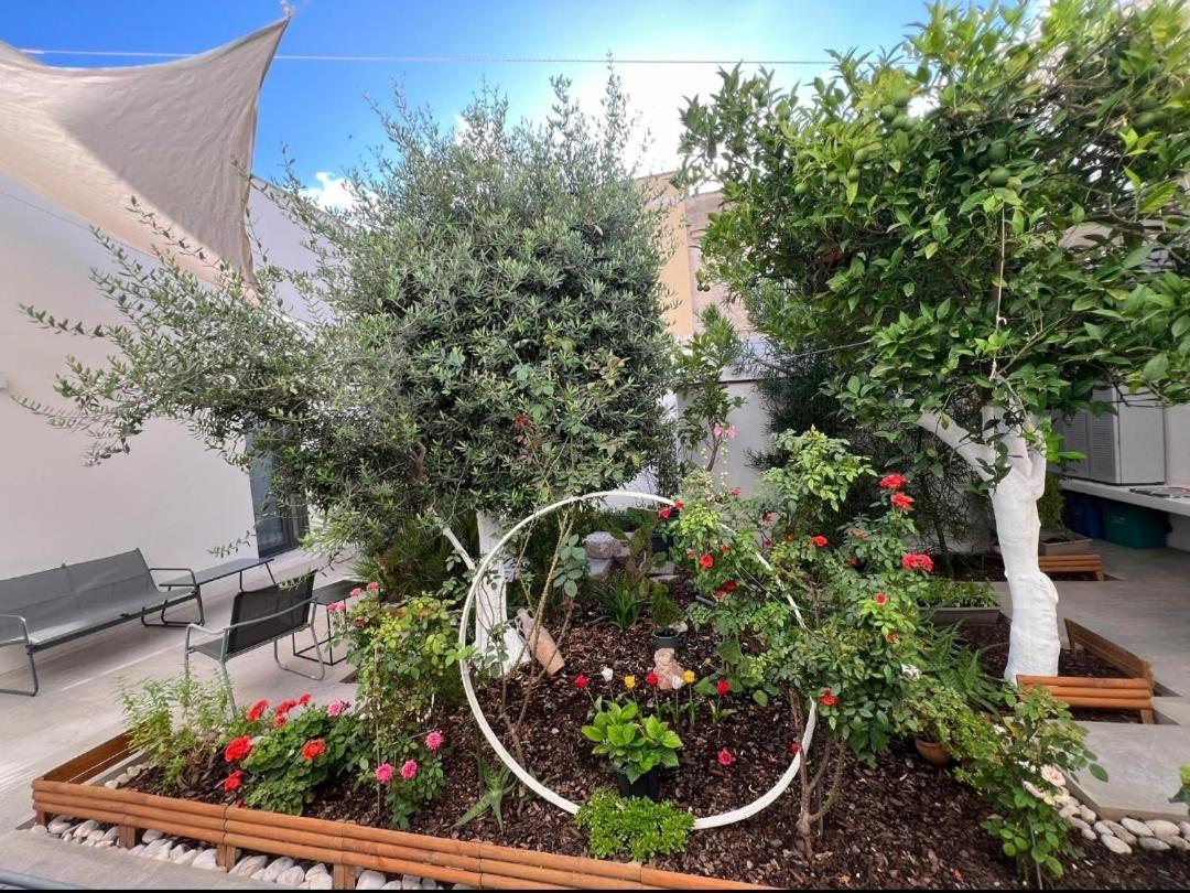 Patio 101 "Exclusive" Bed & Breakfast San Vito Lo Capo Eksteriør bilde